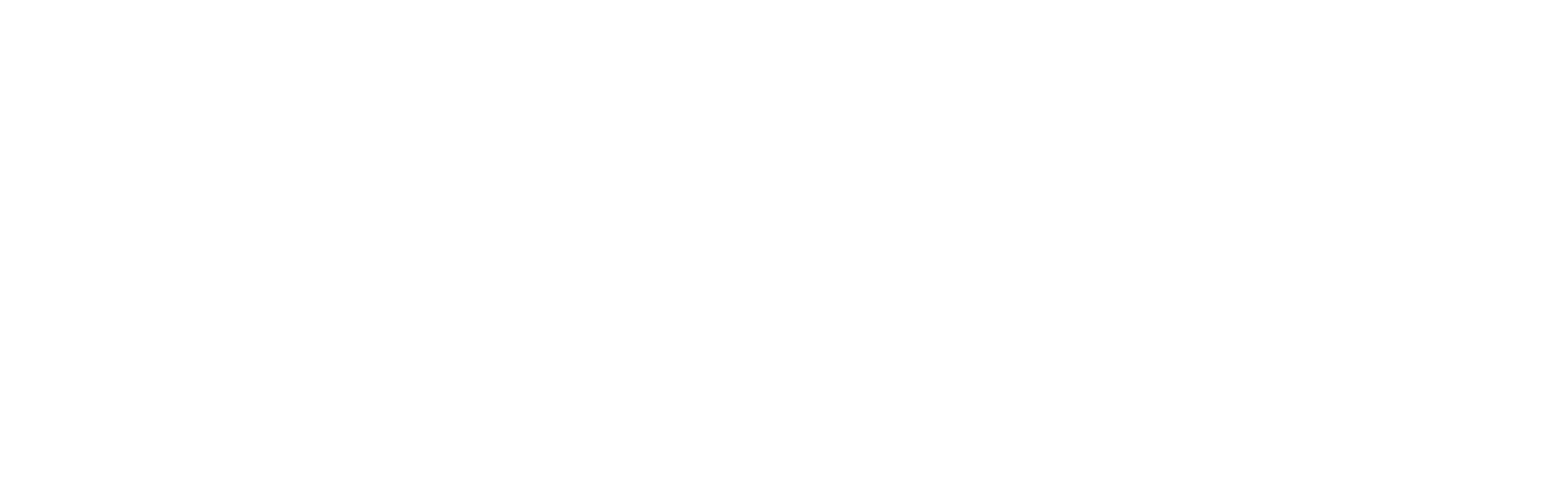 itelgi